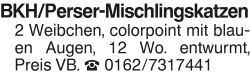 Vorschaubild der Anzeige, (Id: 1974491)