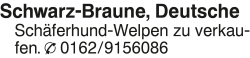 Vorschaubild der Anzeige, (Id: 1974500)