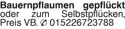 Vorschaubild der Anzeige, (Id: 1974394)