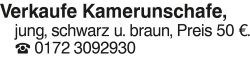 Vorschaubild der Anzeige, (Id: 2059717)