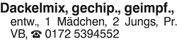 Vorschaubild der Anzeige, (Id: 2071109)