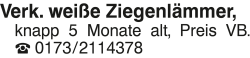 Vorschaubild der Anzeige, (Id: 2071118)