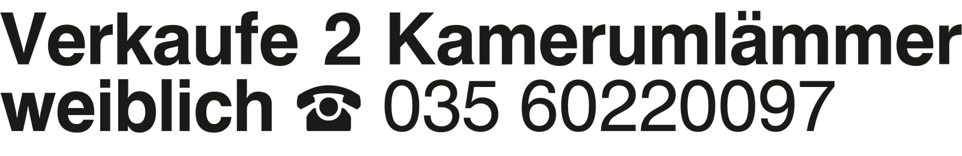 Vorschaubild der Anzeige, (Id: 1960644)