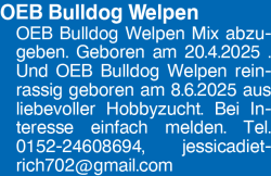 Vorschaubild der Anzeige, (Id: 1960534)