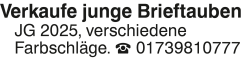 Vorschaubild der Anzeige, (Id: 1962323)
