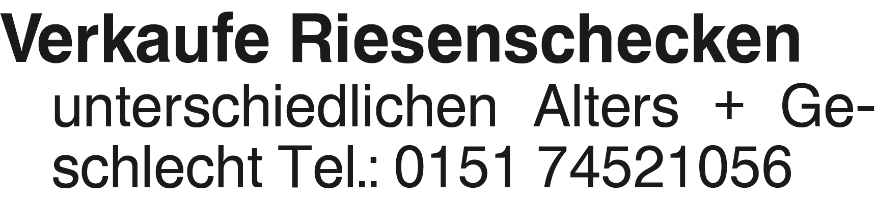Vorschaubild der Anzeige, (Id: 1962395)