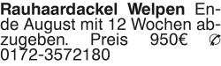 Vorschaubild der Anzeige, (Id: 1967599)