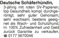 Vorschaubild der Anzeige, (Id: 1967541)