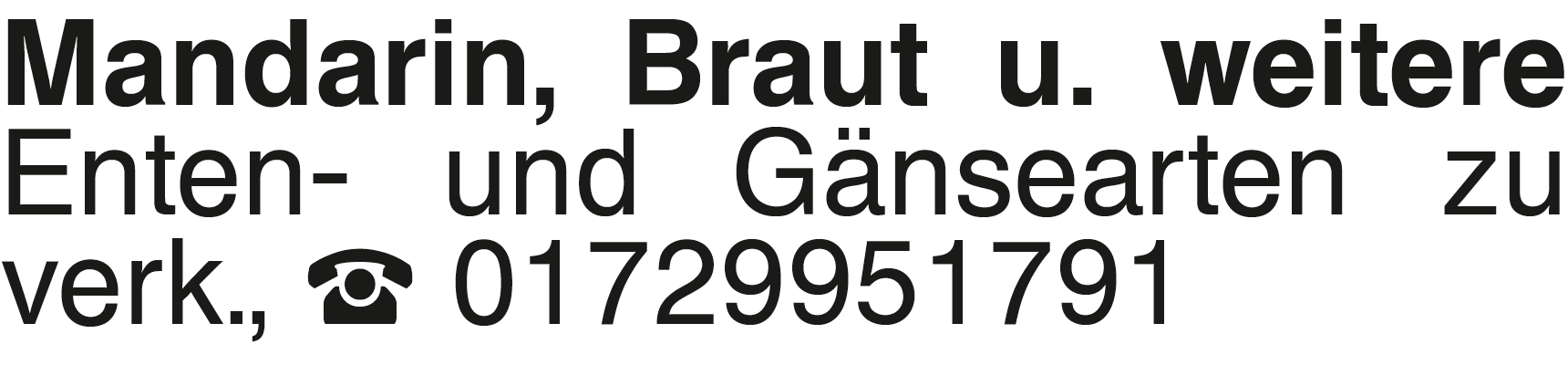 Vorschaubild der Anzeige, (Id: 1970871)