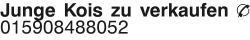 Vorschaubild der Anzeige, (Id: 1976633)