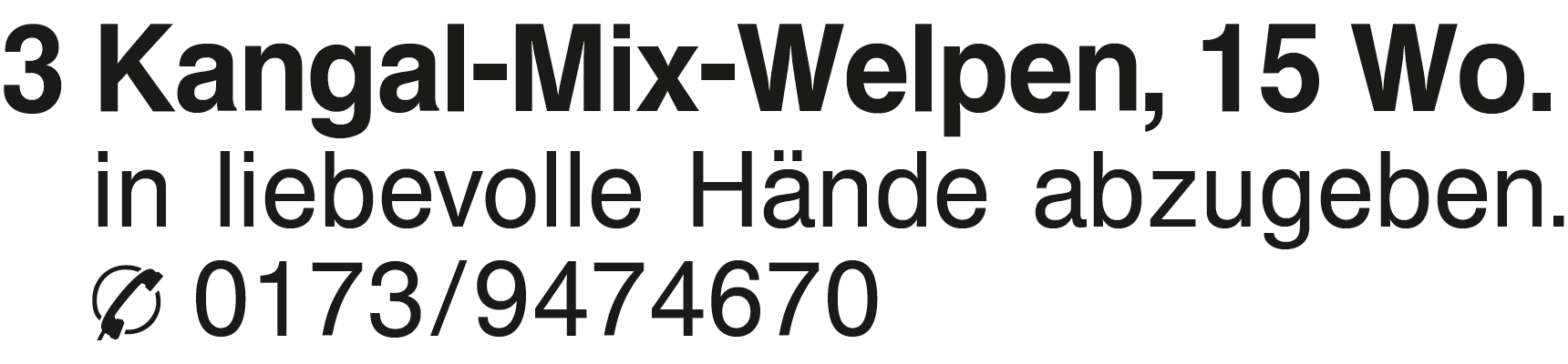 Vorschaubild der Anzeige, (Id: 1976552)