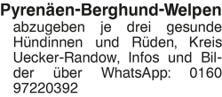 Vorschaubild der Anzeige, (Id: 1984226)