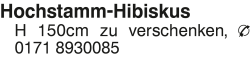 Vorschaubild der Anzeige, (Id: 1984249)