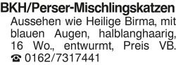 Vorschaubild der Anzeige, (Id: 1984254)