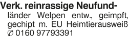 Vorschaubild der Anzeige, (Id: 1984322)