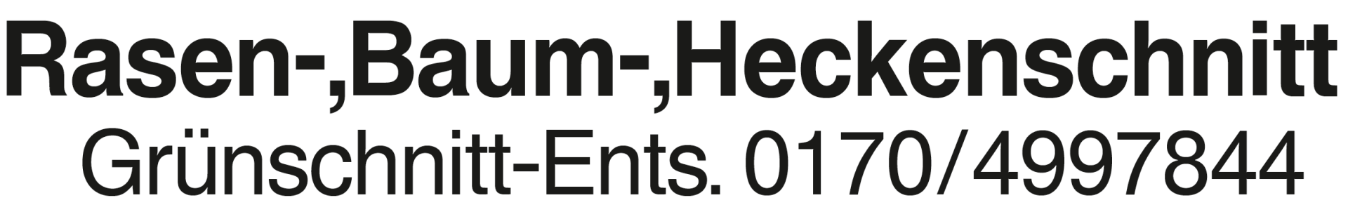 Vorschaubild der Anzeige