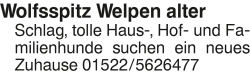 Vorschaubild der Anzeige, (Id: 1985905)