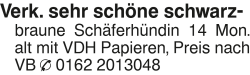 Vorschaubild der Anzeige, (Id: 1985931)