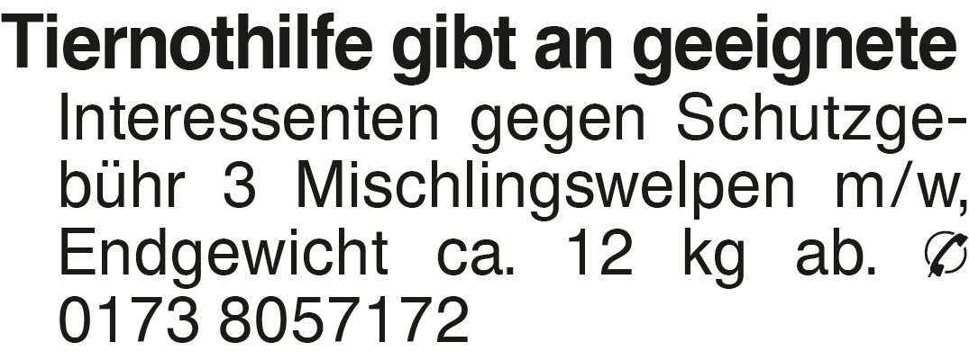 Vorschaubild der Anzeige, (Id: 1988131)