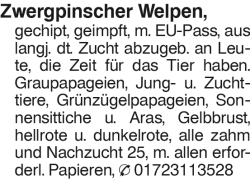 Vorschaubild der Anzeige, (Id: 1999897)