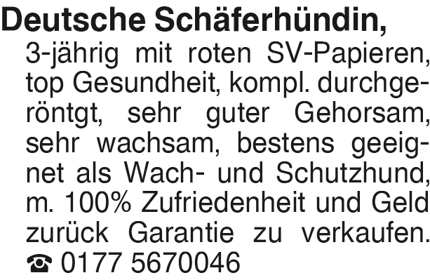 Vorschaubild der Anzeige, (Id: 1999911)