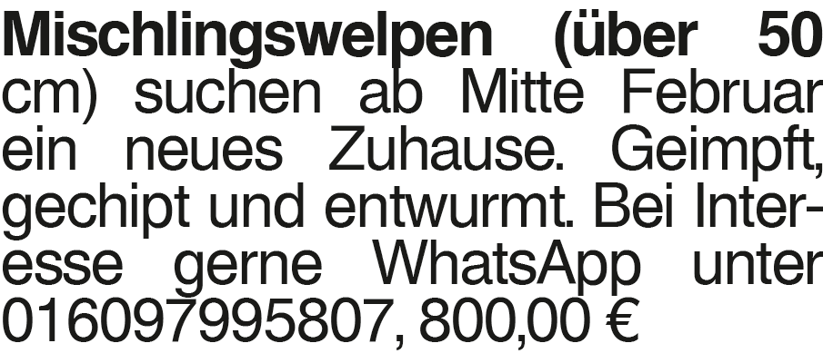 Vorschaubild der Anzeige, (Id: 2013903)