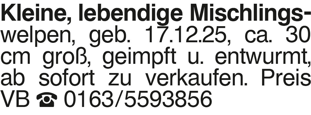 Vorschaubild der Anzeige, (Id: 2032769)