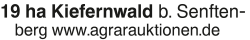 Vorschaubild der Anzeige, (Id: 2043827)