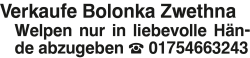 Vorschaubild der Anzeige, (Id: 2043781)