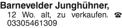 Vorschaubild der Anzeige, (Id: 2047137)