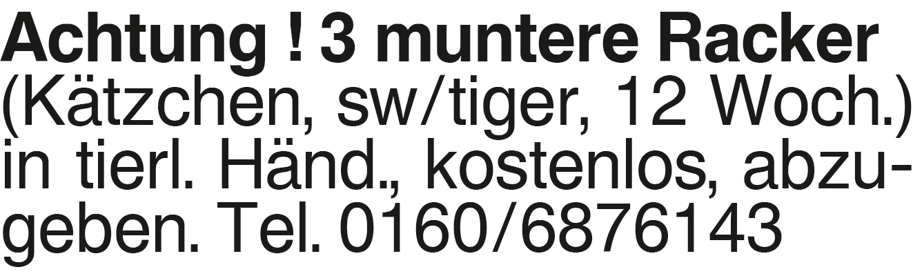 Vorschaubild der Anzeige, (Id: 2050041)