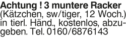 Vorschaubild der Anzeige, (Id: 2050041)
