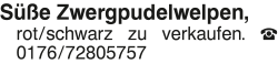 Vorschaubild der Anzeige, (Id: 2049854)