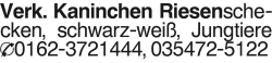 Vorschaubild der Anzeige, (Id: 2050064)