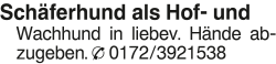 Vorschaubild der Anzeige, (Id: 2049935)