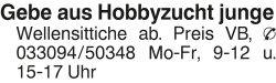 Vorschaubild der Anzeige, (Id: 2049955)