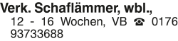 Vorschaubild der Anzeige, (Id: 2049973)