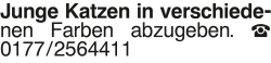 Vorschaubild der Anzeige, (Id: 2050092)