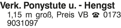 Vorschaubild der Anzeige, (Id: 2071180)