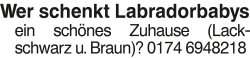 Vorschaubild der Anzeige, (Id: 2072485)
