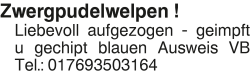 Vorschaubild der Anzeige, (Id: 2072496)