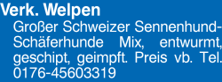 Vorschaubild der Anzeige, (Id: 2072532)