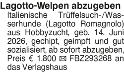 Vorschaubild der Anzeige, (Id: 2072552)