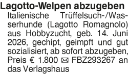 Vorschaubild der Anzeige, (Id: 2072555)