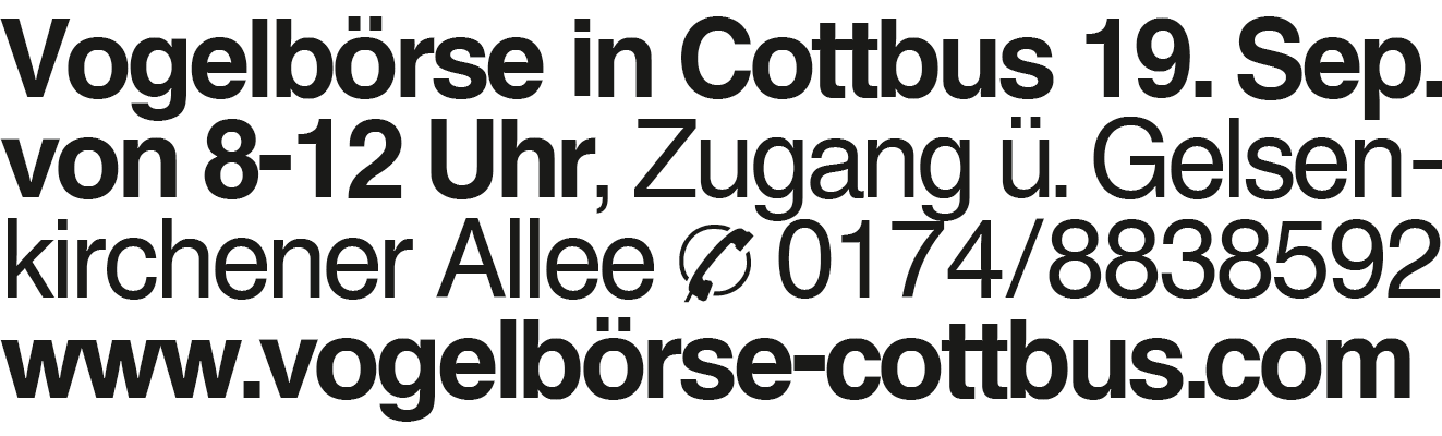 Vorschaubild der Anzeige, (Id: 2074405)