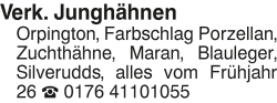 Vorschaubild der Anzeige, (Id: 2074337)