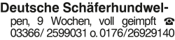 Vorschaubild der Anzeige, (Id: 2076066)