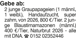 Vorschaubild der Anzeige, (Id: 2080395)