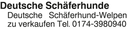 Vorschaubild der Anzeige, (Id: 2080500)