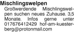 Vorschaubild der Anzeige, (Id: 2084601)